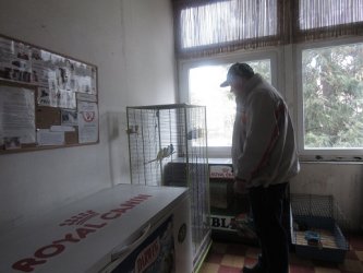 Poľovnícka výstava vo Veľkom Krtíši ožila návštevou prijímateľov sociálnych služieb DSS Čeláre-Kírť