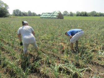 Práca môže aj liečiť