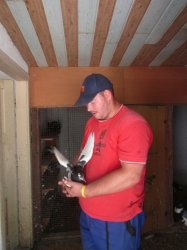 Práca môže aj liečiť