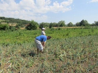 Práca môže aj liečiť