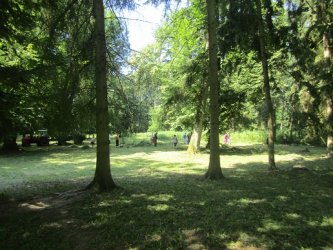 Práca môže aj liečiť