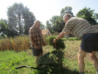 Práca môže aj liečiť