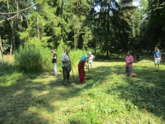 Práca môže aj liečiť