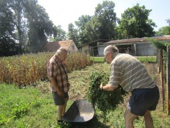 Práca môže aj liečiť