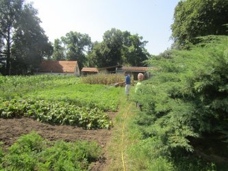 Práca môže aj liečiť