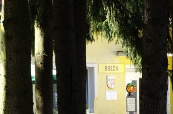 Ďakujeme Nadácii SPP a programu Opora za možnosť zakúpenia kvalitného fotoaparátu pre našu Janku