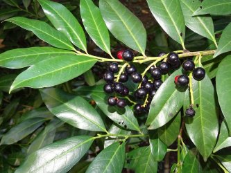 Ďakujeme Nadácii SPP a programu Opora za možnosť zakúpenia kvalitného fotoaparátu pre našu Janku