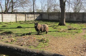 Ďakujeme Nadácii SPP a programu Opora za možnosť zakúpenia kvalitného fotoaparátu pre našu Janku