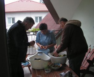 Sociálna rehabilitácia