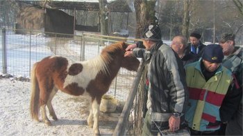 Záujmová činnosť