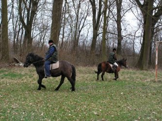 Záujmová činnosť