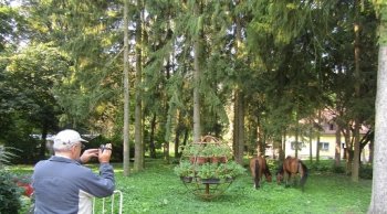 Grantové programy 2018