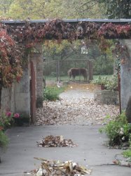 Grantové programy 2017