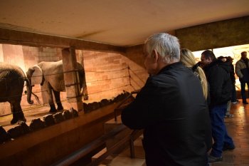 Návšteva ZOO v Bojniciach