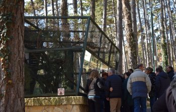 Návšteva ZOO v Bojniciach