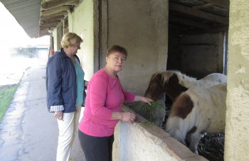 Návšteva  Slovenského červeného kríža v DSS Čeláre - Kírť