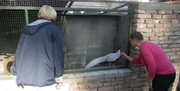 Návšteva  Slovenského červeného kríža v DSS Čeláre - Kírť