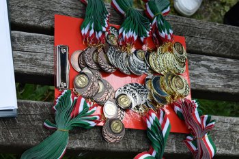 Víťazná návšteva v Maďarsku