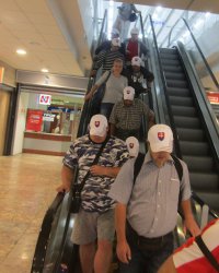 Keď si obujeme túlavé topánky