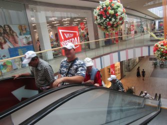 Keď si obujeme túlavé topánky