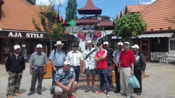 Keď si obujeme túlavé topánky