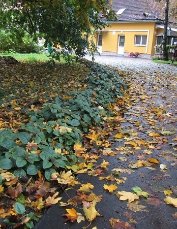 ,, Zeleň pre pokoj duše“ - vyhodnotiaca správa