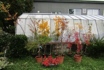 ,, Zeleň pre pokoj duše“ - vyhodnotiaca správa