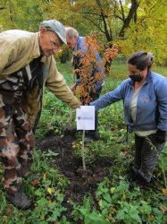 ,, Zeleň pre pokoj duše“ - vyhodnotiaca správa