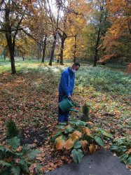 ,, Zeleň pre pokoj duše“ - vyhodnotiaca správa