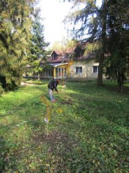 ,, Zeleň pre pokoj duše“ - vyhodnotiaca správa