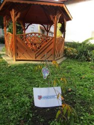 ,, Zeleň pre pokoj duše“ - vyhodnotiaca správa