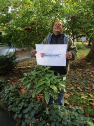 ,, Zeleň pre pokoj duše“ - vyhodnotiaca správa