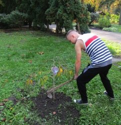 ,, Zeleň pre pokoj duše“ - vyhodnotiaca správa