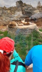 Návšteva v ZOO Bojnice 2022