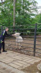 Návšteva v ZOO Bojnice 2022