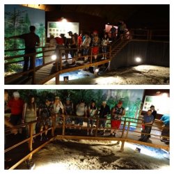 Návšteva v GEOPARKU - Ipolytarnóc