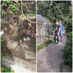 Naši prijímatelia sa podieľajú na skrášľovaní  svojho domova