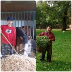 Naši prijímatelia sa podieľajú na skrášľovaní  svojho domova