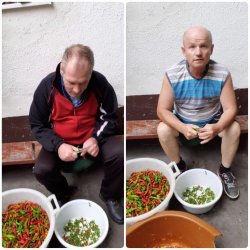 Bohatá úroda – odmena za usilovnú prácu