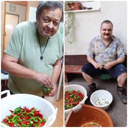 Bohatá úroda – odmena za usilovnú prácu