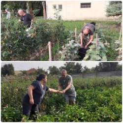 Bohatá úroda – odmena za usilovnú prácu