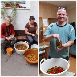 Bohatá úroda – odmena za usilovnú prácu