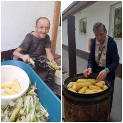 Bohatá úroda – odmena za usilovnú prácu