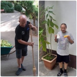 Bohatá úroda – odmena za usilovnú prácu