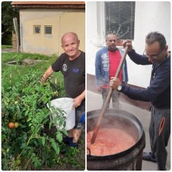 Bohatá úroda – odmena za usilovnú prácu