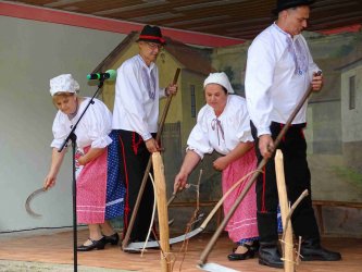 Oslávili sme 70. výročie založenia DSS