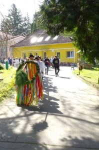 Máj, máj zelený, pod oblôčkom sadený...