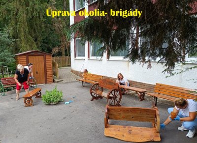 Dobrovoľnícke aktiviy