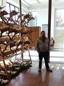 Návšteva chovateľskej prehliadky poľovníckych trofejí