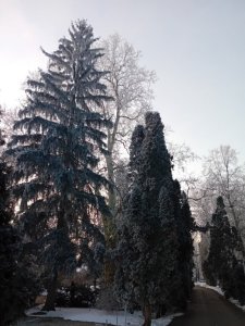 Zimná prechádzka plná čara a radosti